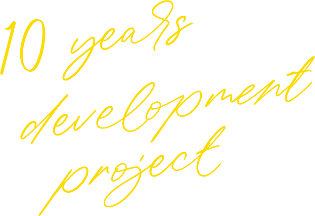 10years development project
